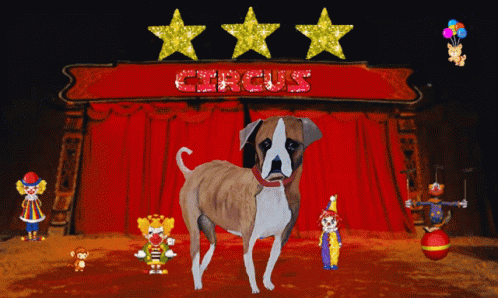 Keira Pup Under The Circus Big Top GIF - Keira Pup Under The Circus Big Top GIFs