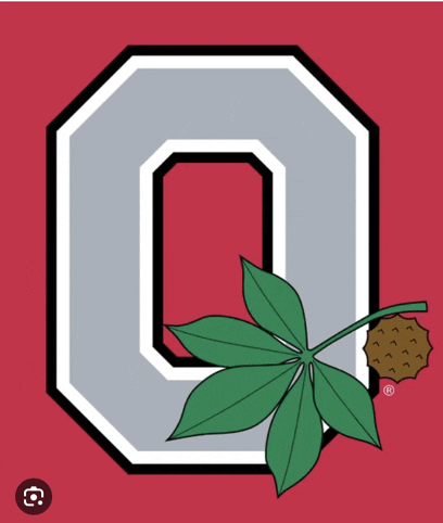 the letter o is on a red background with leaves and a nut