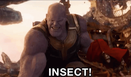 Marvel Thanos GIF - Marvel Thanos Insult GIFs