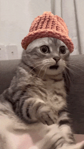 a cat wearing a pink knitted hat is sitting on a couch