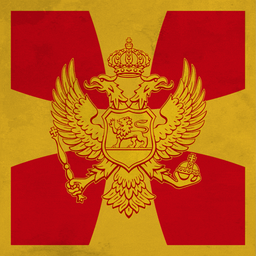 a red and yellow flag with a shield with a lion and a crown on it