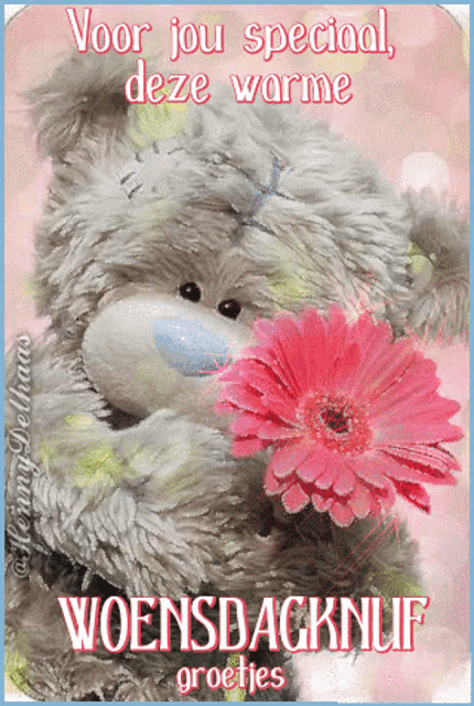 a teddy bear holding a pink flower with the words voor jou special