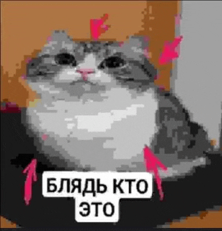 a pixel art of a cat sitting on a person 's lap with a sign that says `` blah kto это '' .
