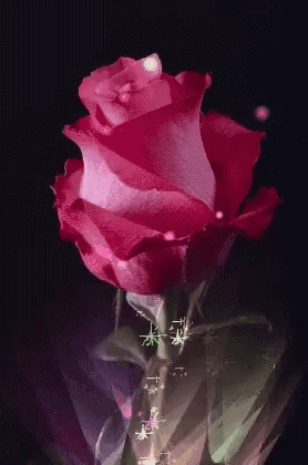 Rosas Flower GIF - Rosas Flower GIFs