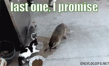 Last One GIF - Last One Promise Steal GIFs