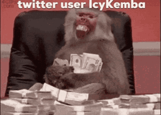 a monkey is sitting in a chair holding a pile of money and playing cards