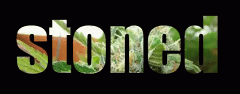 Stoned Weed GIF - Stoned Weed GIFs
