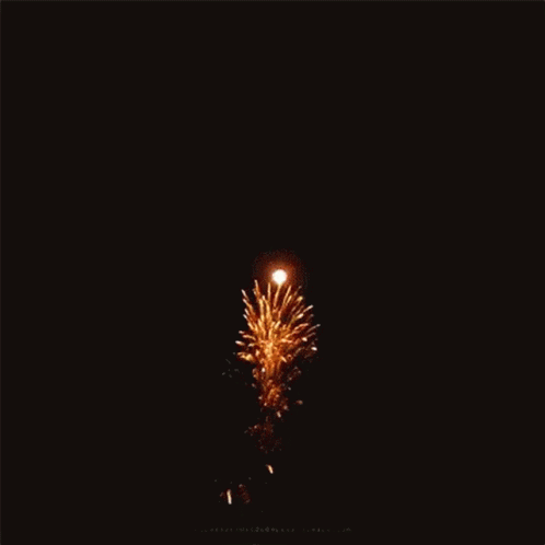 Celebration Fireworks GIF
