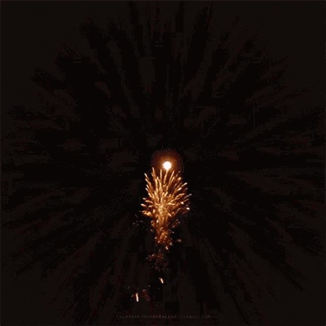 a large fireworks display is going off in the night sky