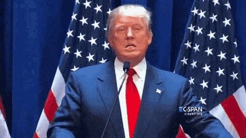 a man in a suit and tie is giving a speech in front of an american flag