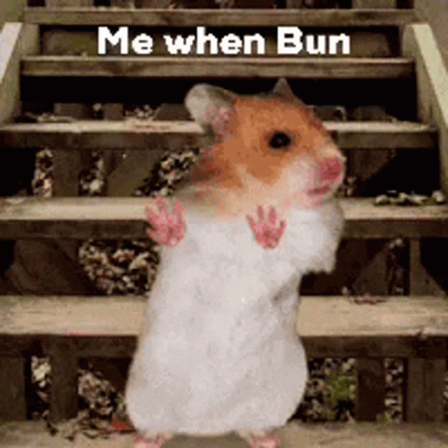 Bun Me When Bun GIF - Bun Me When Bun Shinnie GIFs