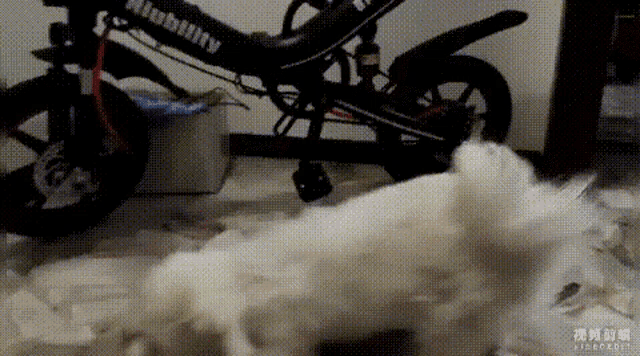 a bicycle with the word infinity on the front