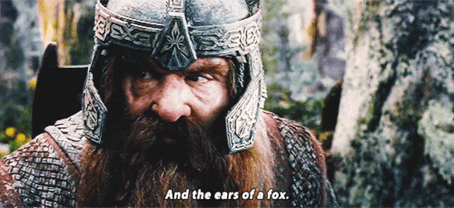 a man with a beard wearing a helmet says and the ears of a fox