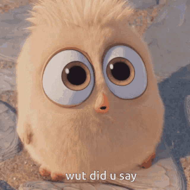 a cartoon bird says wut did u say in front of it