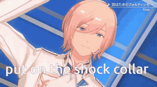 a picture of a boy with the words put on the shock collar on the bottom