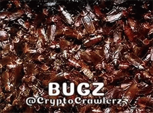 Bugz Cryptocrawler GIF - Bugz Cryptocrawler Bug GIFs