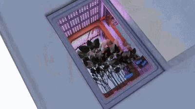 a close up of a window with plants growing inside of it