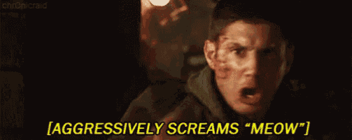 a close up of a man screaming with the words aggressively screams meow