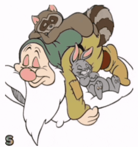a cartoon drawing of a gnome with a raccoon and a rabbit