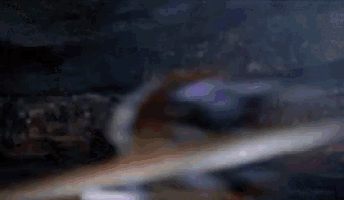 a close up of a person holding a sword in a dark room with a blurred background .