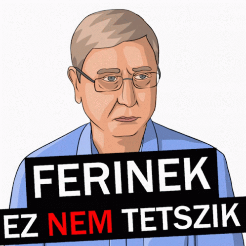 Feri Ferenc GIF - Feri Ferenc Gyurcsány GIFs