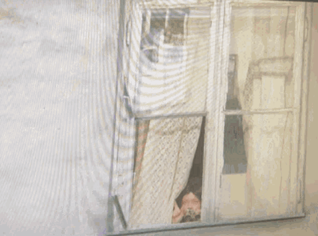 Baronowa Lalka GIF