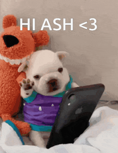 a puppy sitting next to a stuffed animal with the words hi ash < 3 written above it