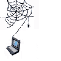 a laptop is hanging from a spider web .