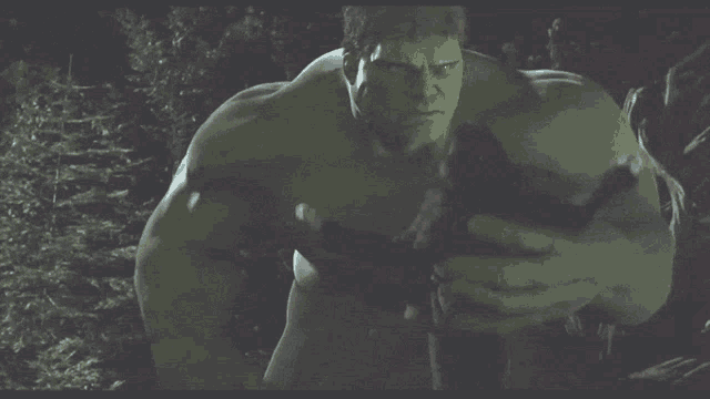 Hulk The Hulk GIF - Hulk The Hulk Hulk2003 GIFs