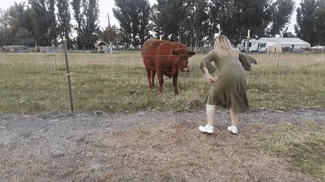 a woman in a green dress stands in front of a brown cow