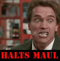 Arnie Sagt Halts Maul - Halts Maul GIF - Halts Maul Halts Maul GIFs