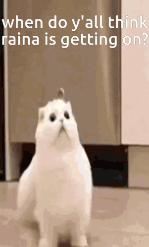 a picture of a cat with a caption that says " when do y all think raina is getting on "