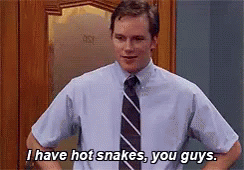 Parks And Recreation Chris Pratt GIF - Parks And Recreation Chris Pratt Hotsnakes GIFs