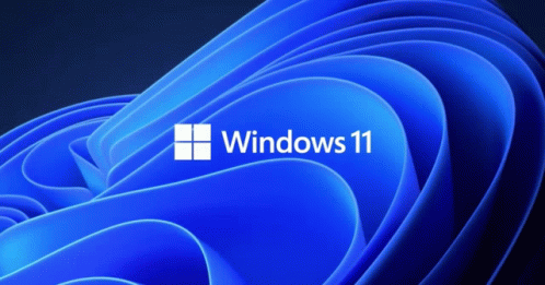 Windows11 GIF - Windows11 GIFs