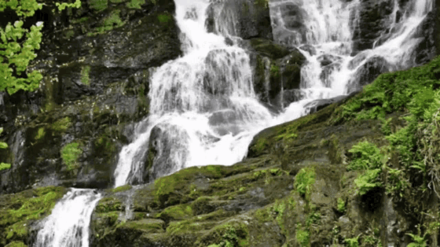Waterfall With Static Foliage Waterfall GIF - Waterfall With Static Foliage Waterfall Water GIFs