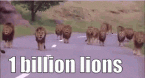 1billion Lions Lions GIF - 1billion Lions Lion Lions GIFs