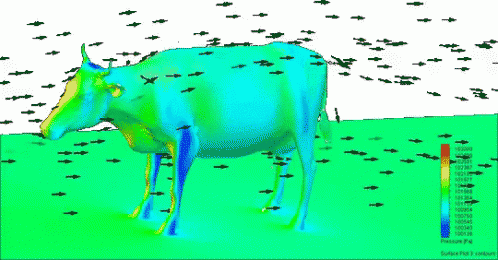 Cow Airflow GIF - Cow Airflow Diagram GIFs