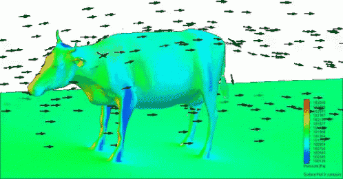 a computer generated image of a cow in a field with arrows pointing to it