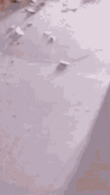 a close up of a woman 's legs wearing white shoes .