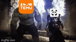 hulk and thor are fighting each other and the hulk has a temu logo on his face