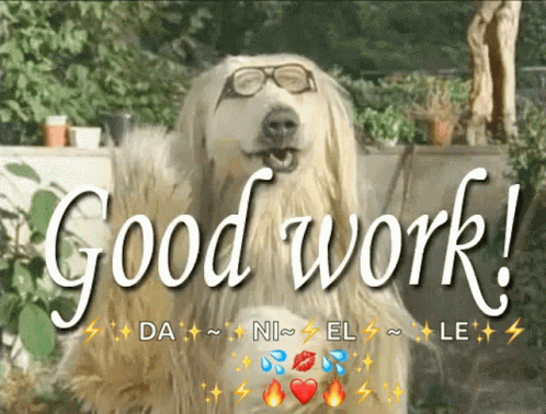 Clapping Goodwork GIF - Clapping Goodwork Dogs GIFs