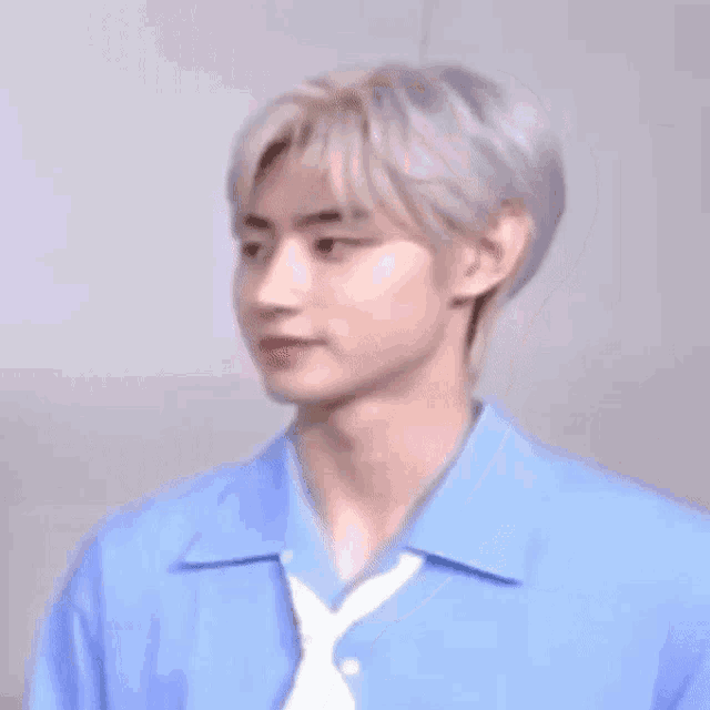 a young man with gray hair is wearing a blue shirt and tie .