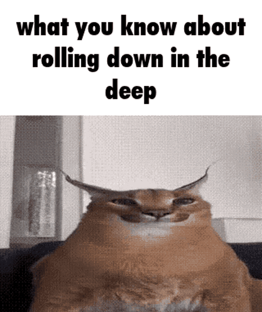 What You Know About Rolling Down In The Deep Astronaut In The Ocean GIF - What You Know About Rolling Down In The Deep Rolling Down In The Deep Astronaut In The Ocean GIFs