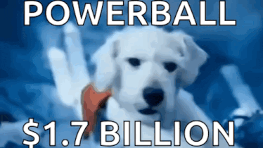 a picture of a white dog with the words powerball $ 1.7 billion