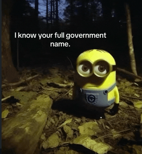 a picture of a minion with the words i know your full government name