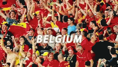 Frabel Belgium GIF - Frabel Belgium World Cup GIFs