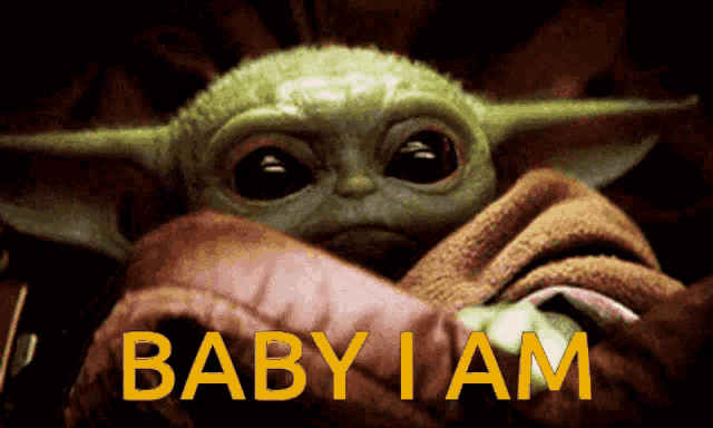 a baby yoda is wrapped in a blanket with the words baby i am above it