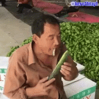 Cucumber Gurke GIF - Cucumber Gurke Asian GIFs