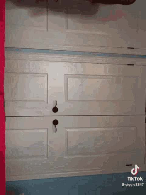 a tiktok video shows a closet with two white doors