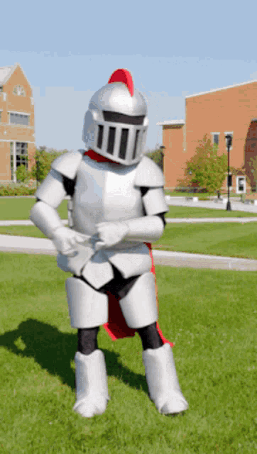 a mascot dressed as a knight is standing on a lush green field